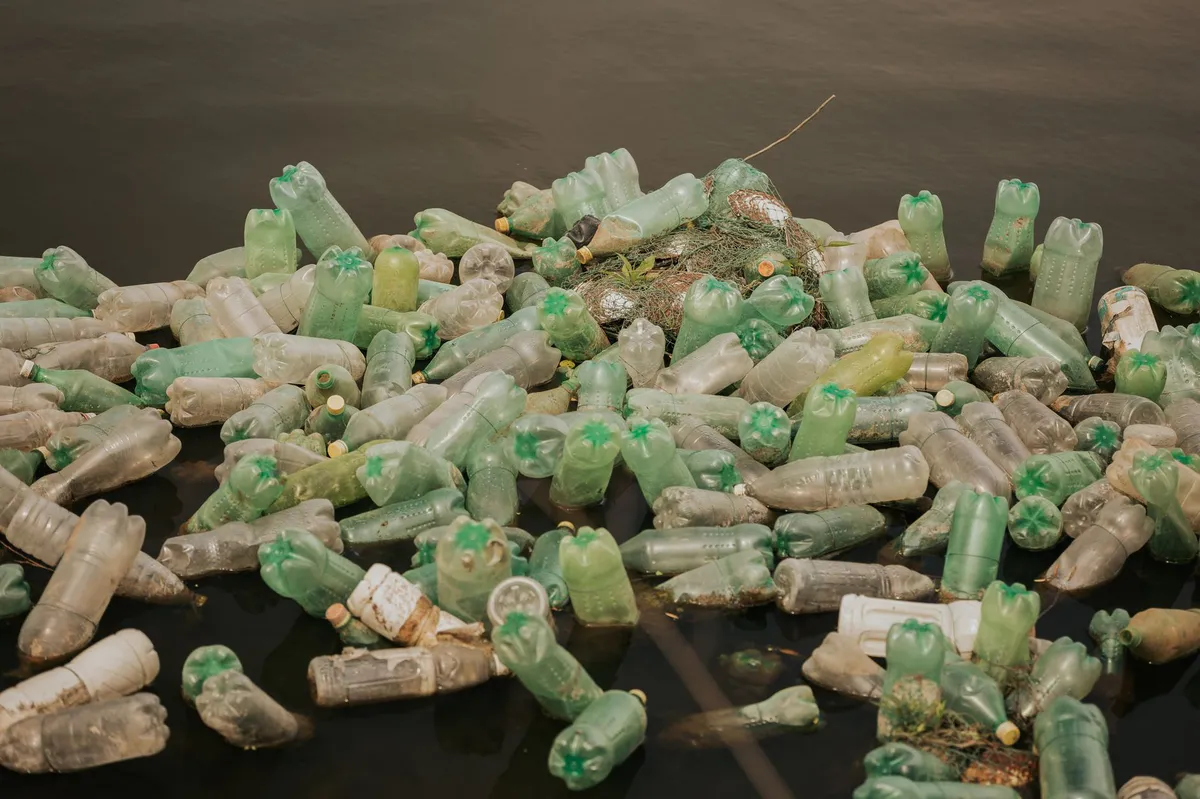 marine environment threat