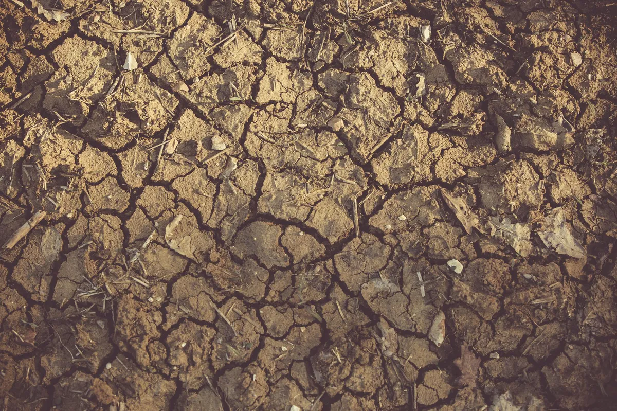 drought-affected landscape
