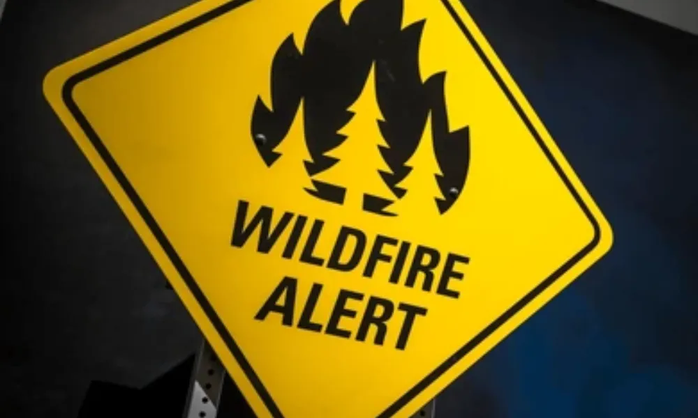 The Rising Threat of Wildfire: Understanding Property Risks and Insurance Implications