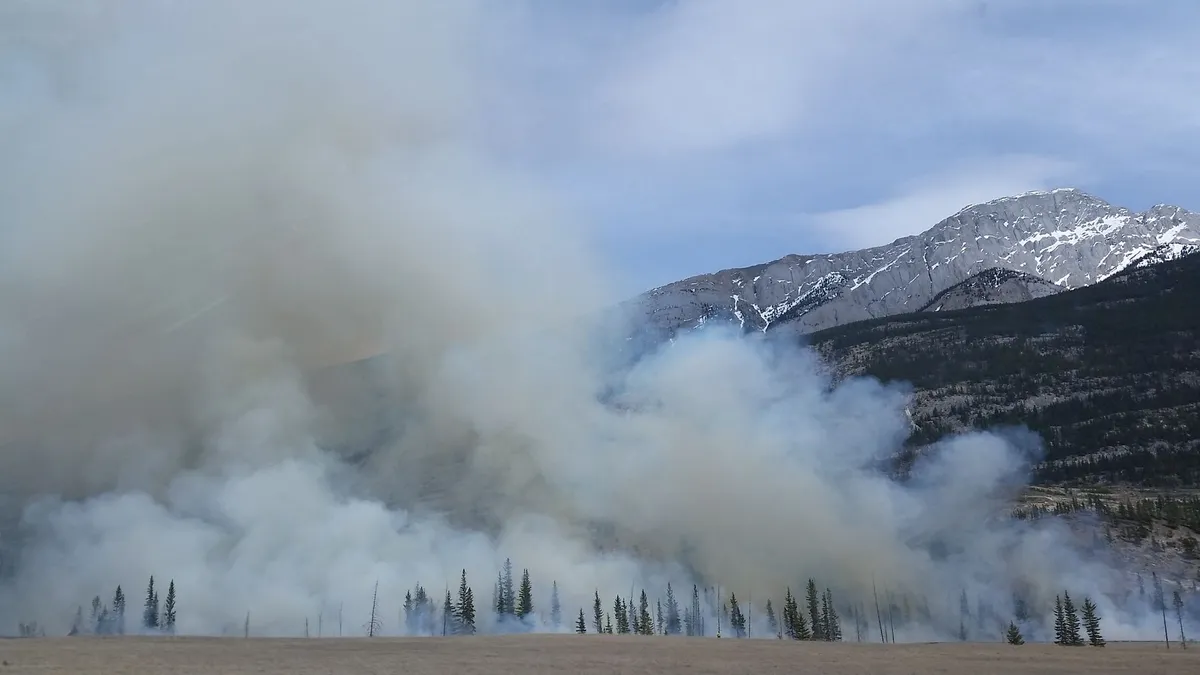 wildfire smoke impact