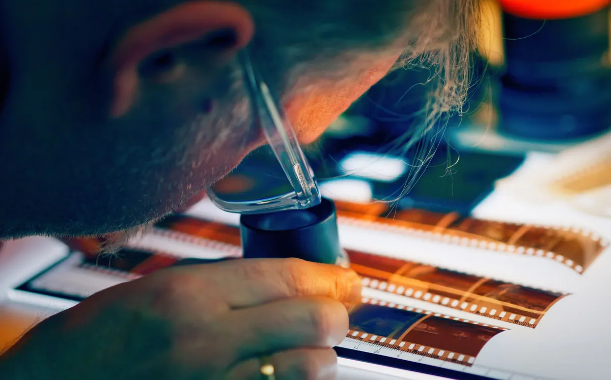 FDA inspection process