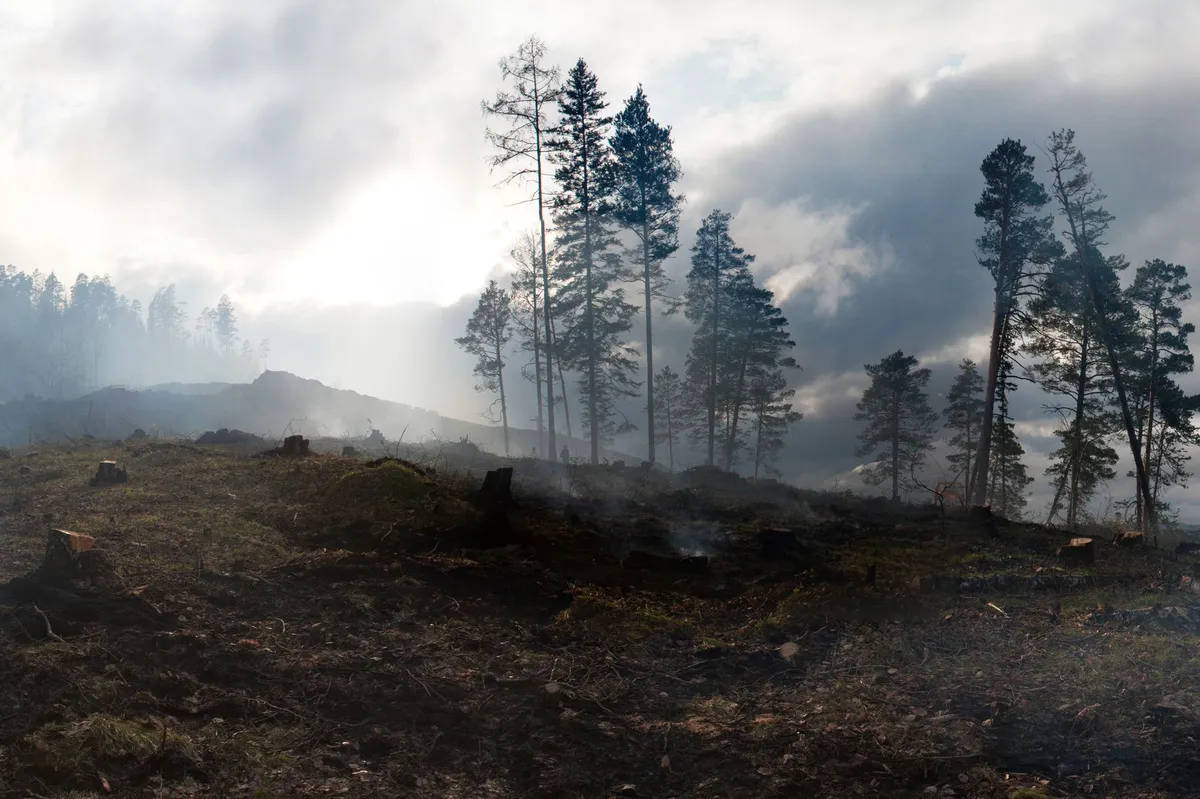 wildfire destruction Spokane
