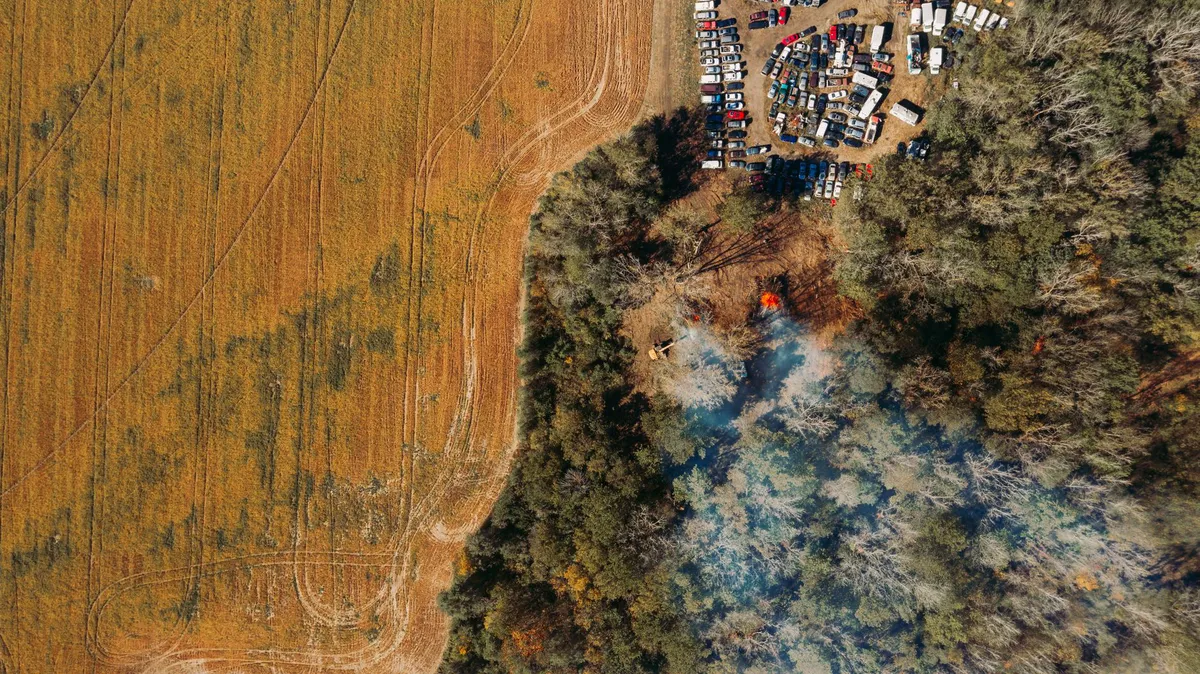 wildfire forest management