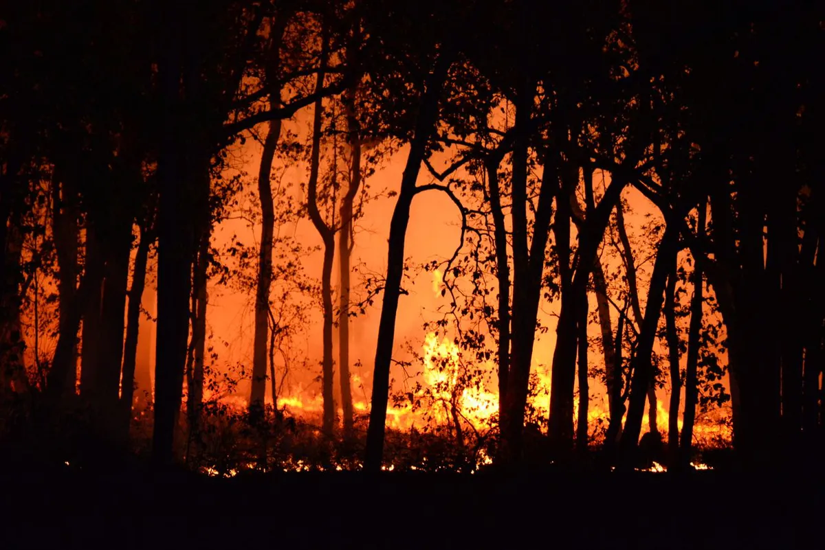 Wildfire Risk Mitigation Bill Stalls, Impacting Insurance Markets
