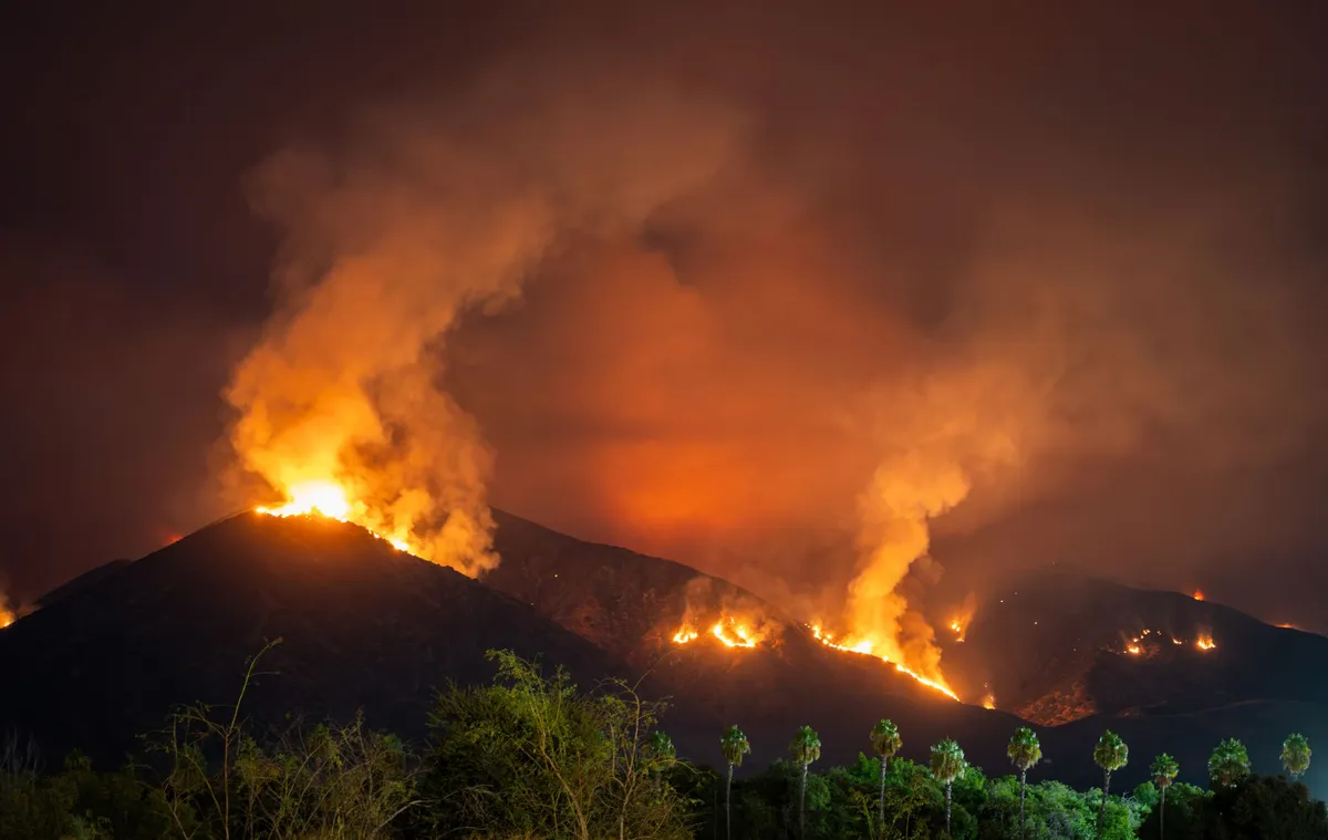 wildfire safety preparedness
