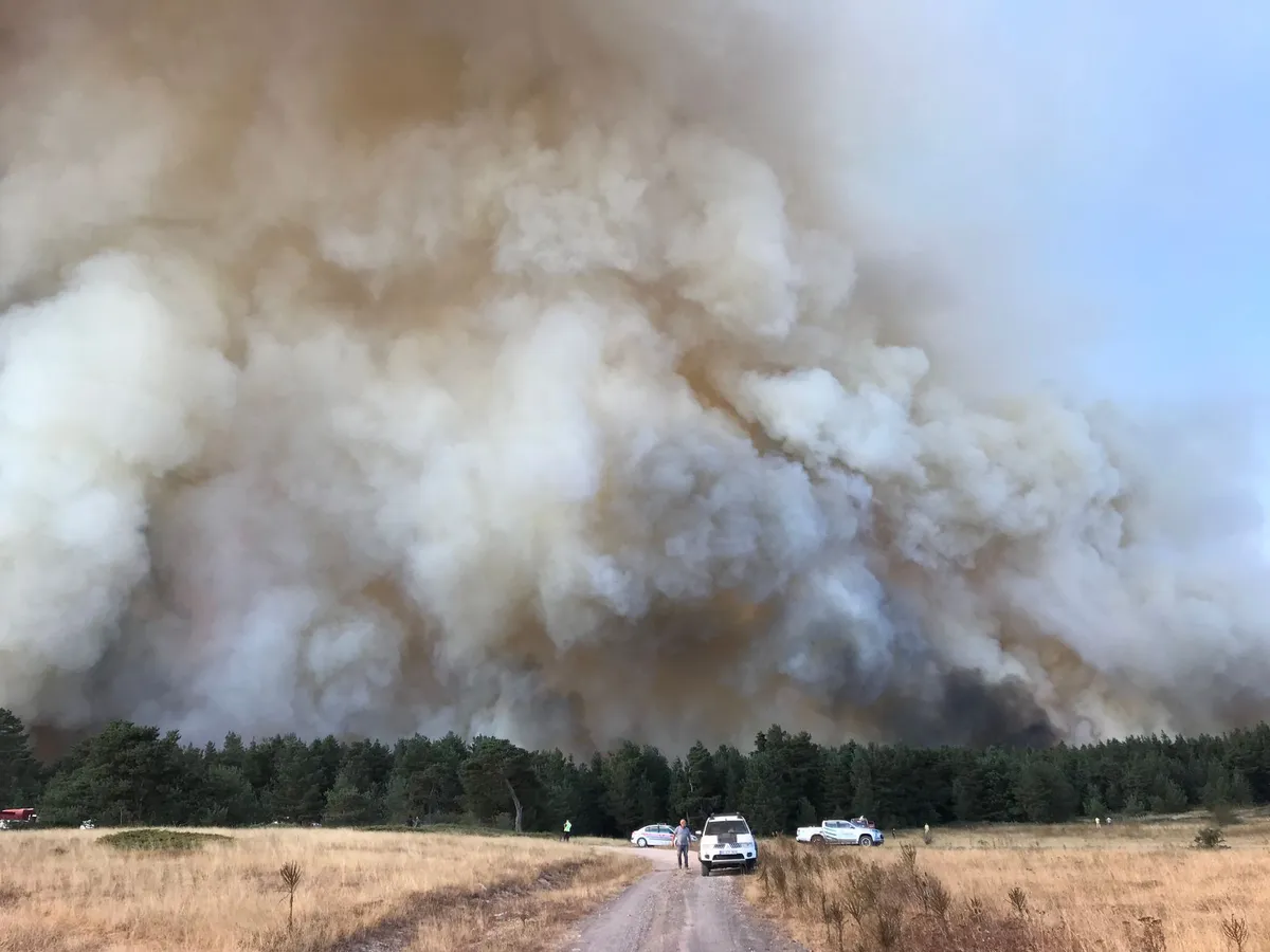 wildfire smoke billowing