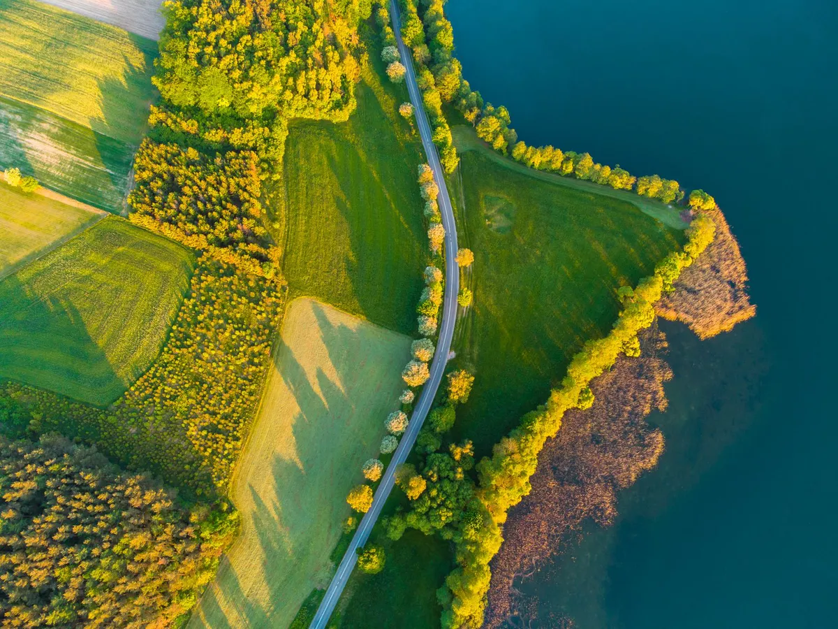 specialized insurance landscape