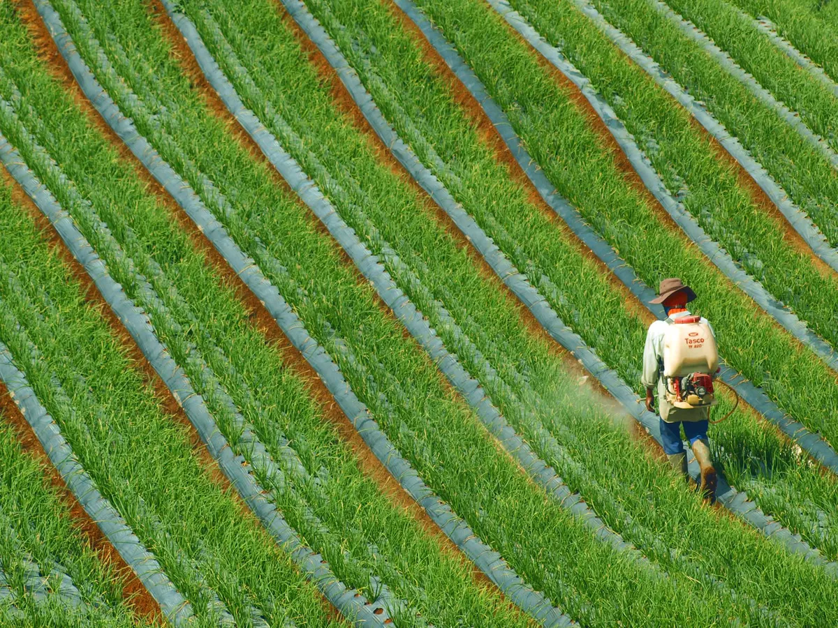 agricultural worker spraying glyphosate