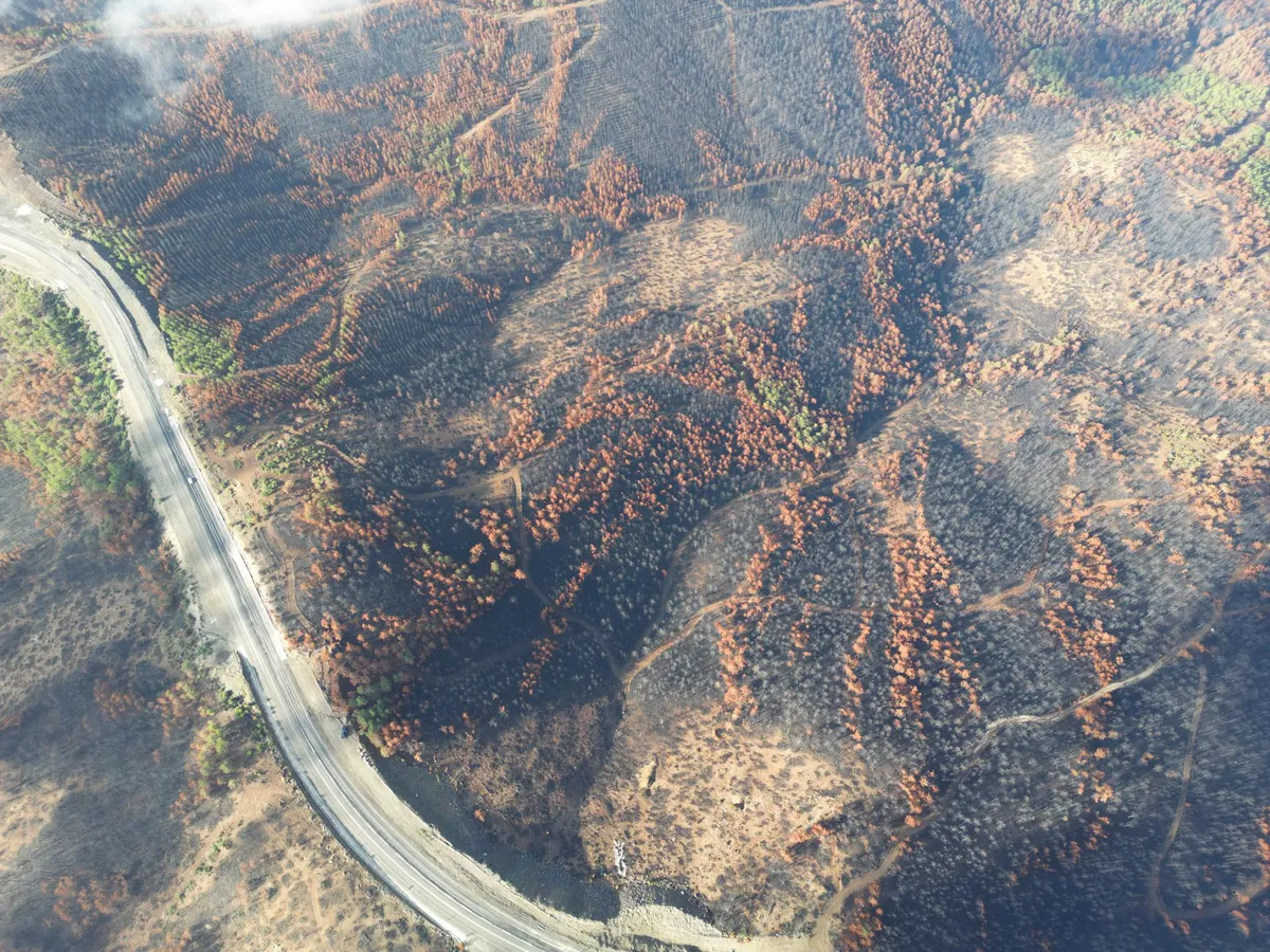wildfire recovery efforts