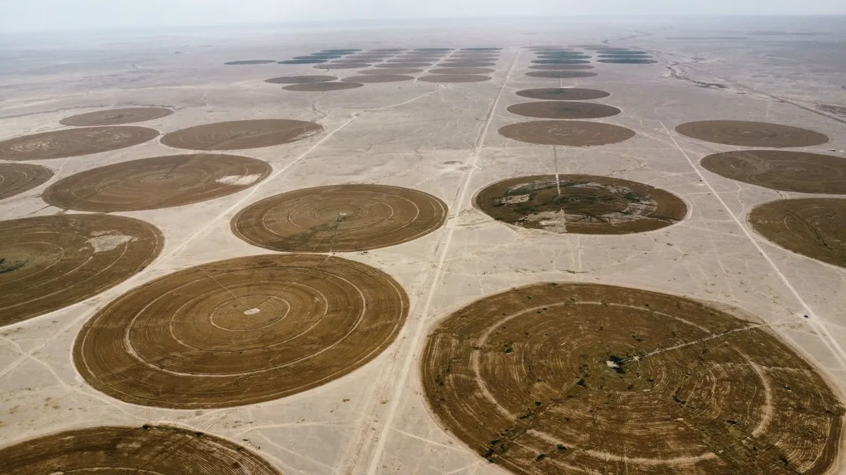 drought-affected farmland