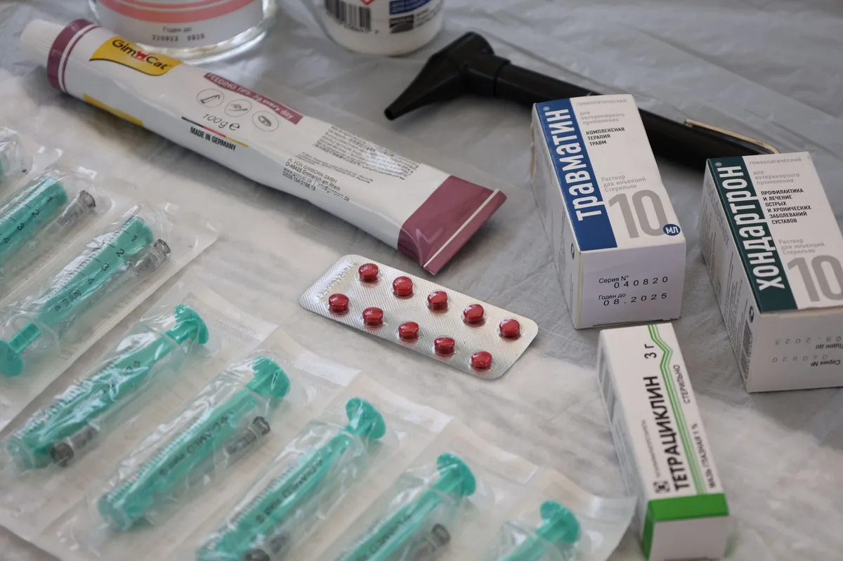 pharmacy medication display