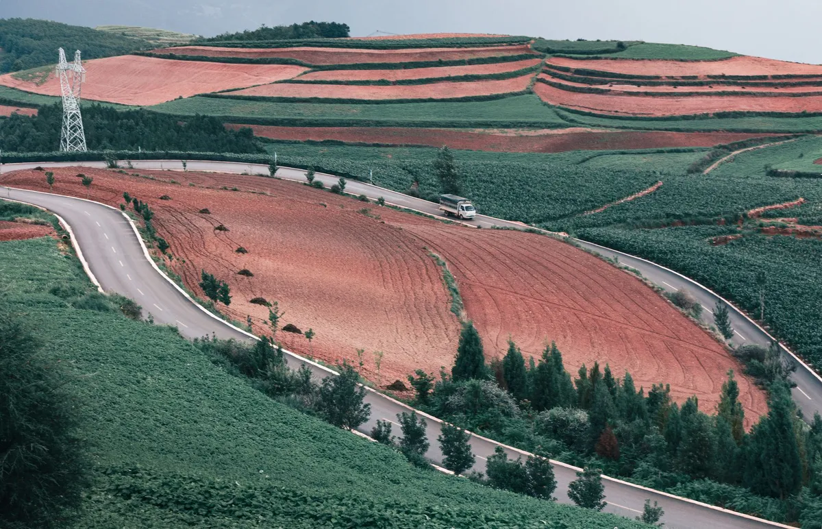 agricultural field with AI technology