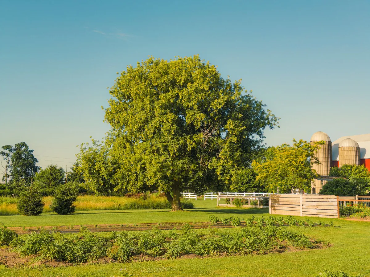 Michigan farm landscape