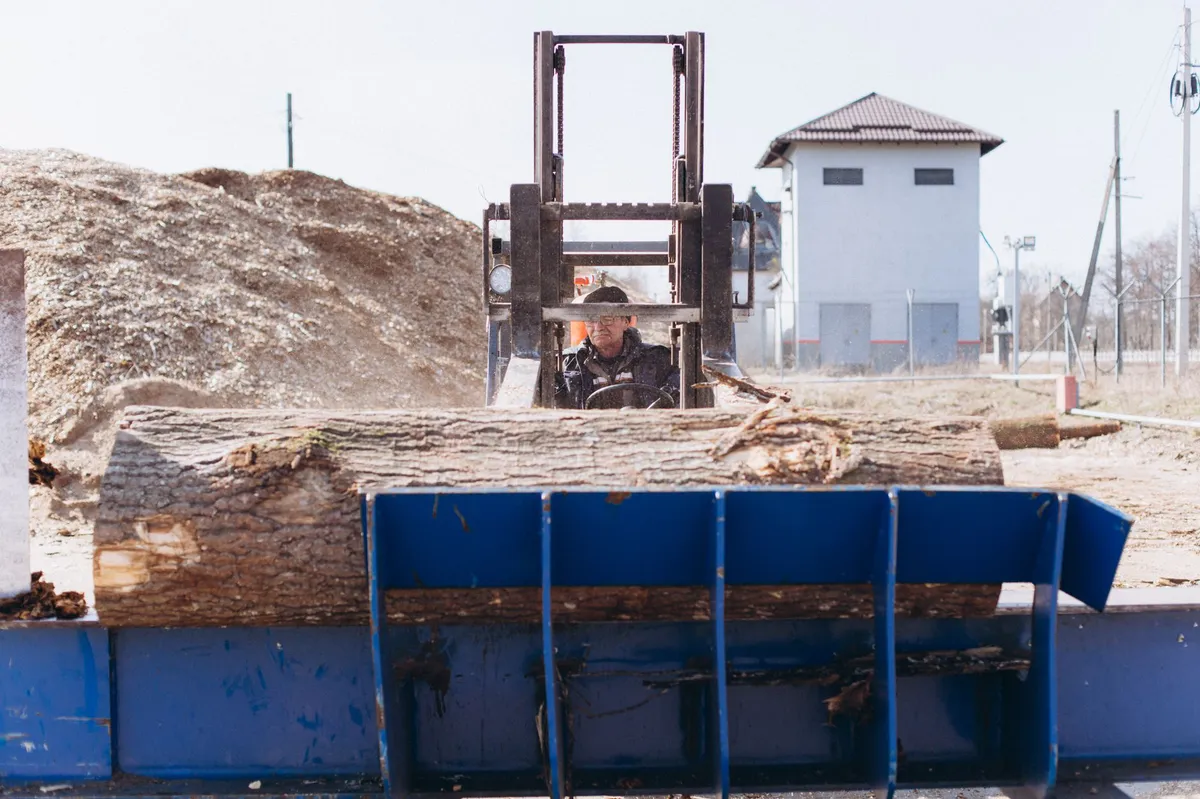logging industry workers