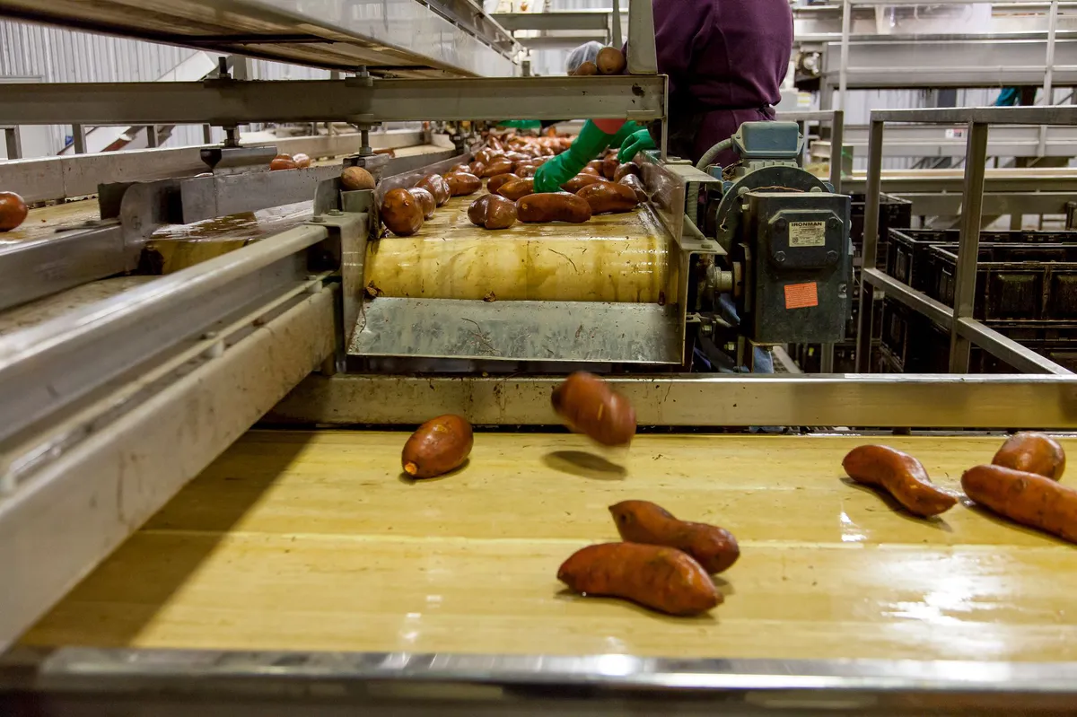 produce processing plant