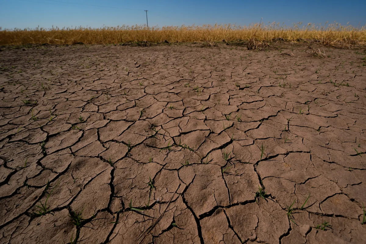 The Looming Impact of a Record-Breaking El Niño on Global Weather Patterns