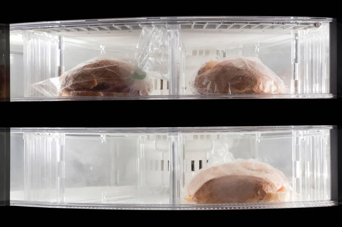 frozen sandwiches display