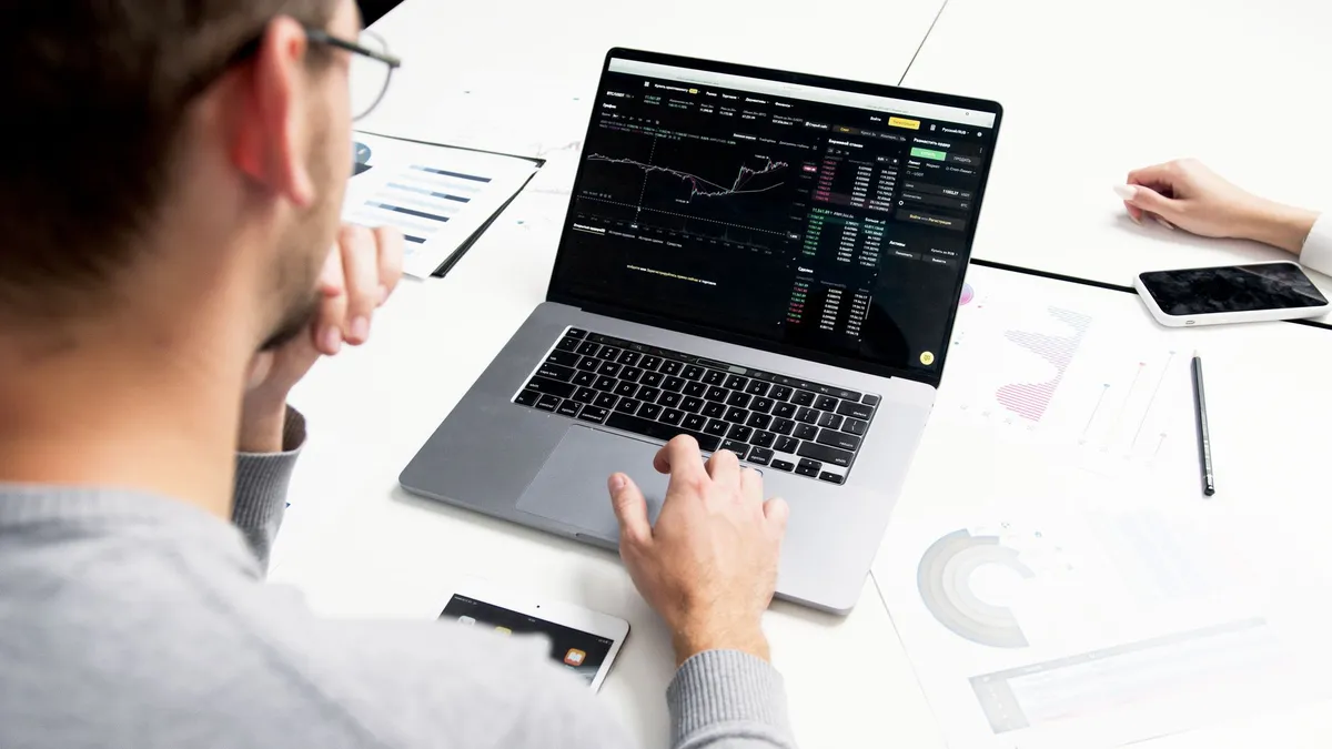 person analyzing financial data