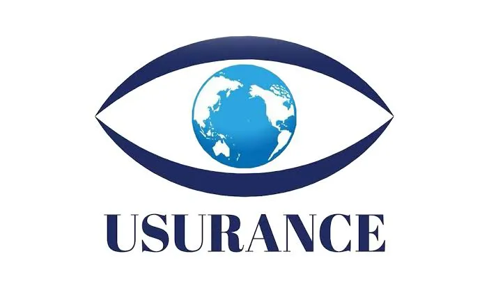 Usurance Insurance Company: A New Player for Asian Exporters in the U.S. Market