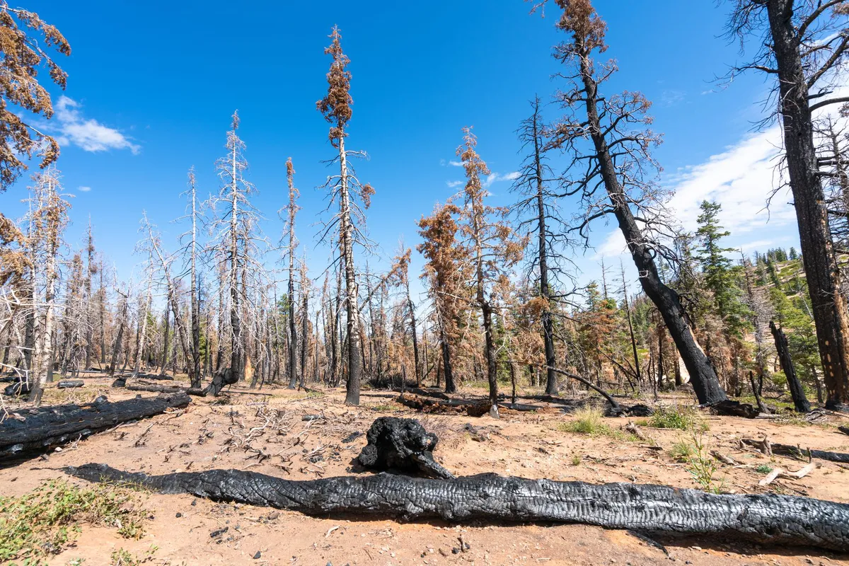 wildfire in Utah