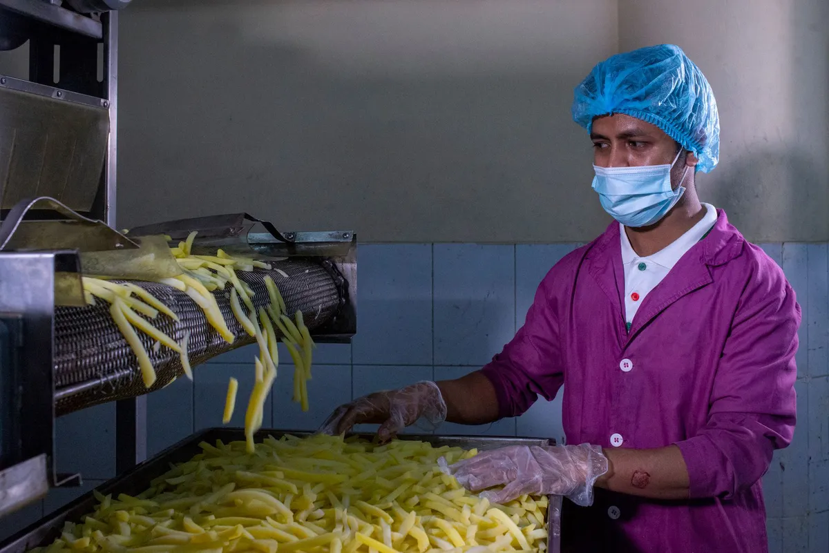 health inspection in food processing plant